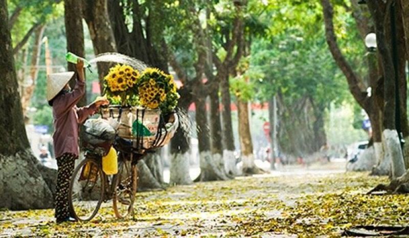 Hanoi autumn