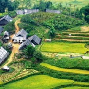 sapa_2.jpg