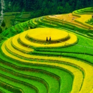 sapa_9.jpg