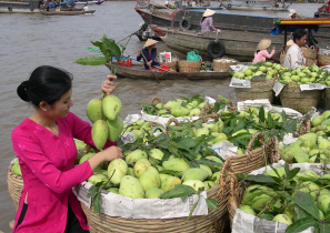 Cai Rang Floating Market