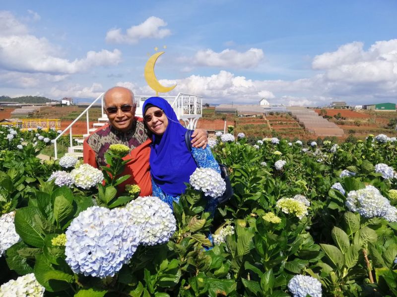 hydrangeas Garden da lat
