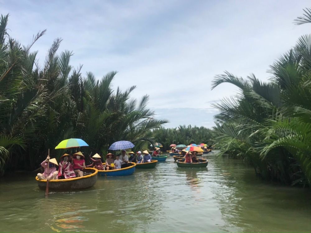 Bay Mau Coconut Forest