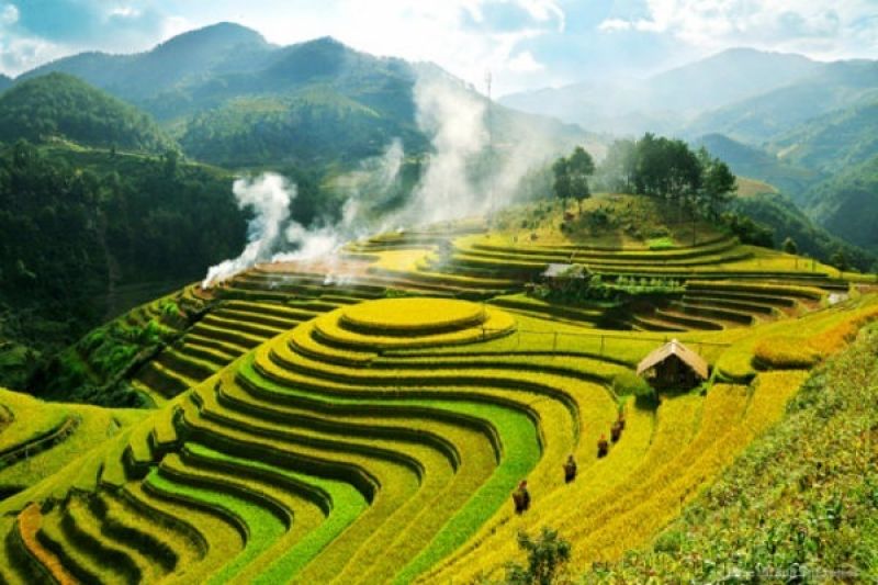 Terrace Field in Sapa