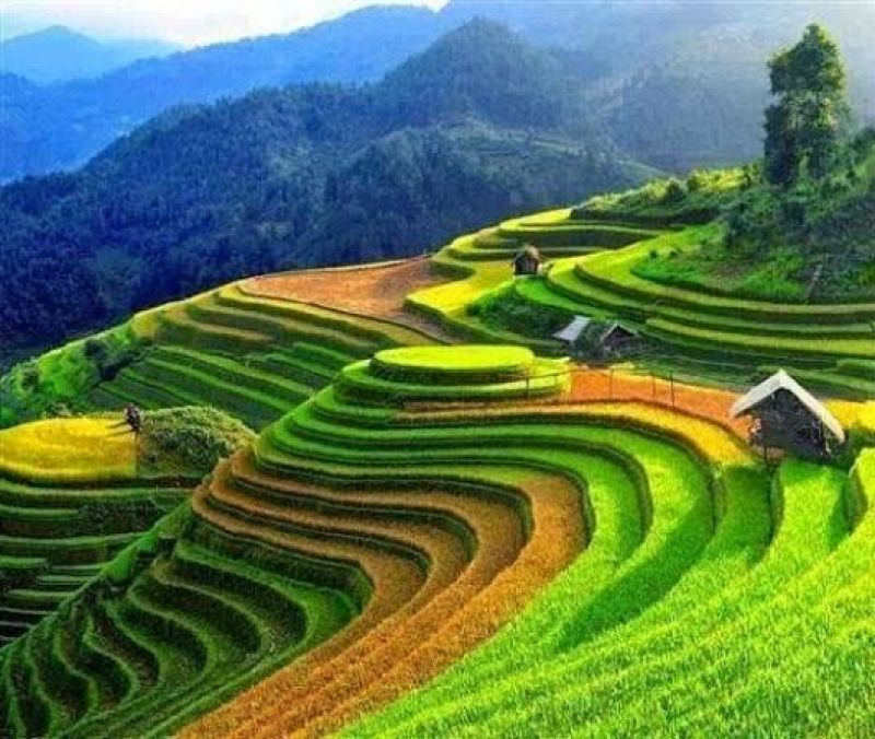 Sapa Vietnam