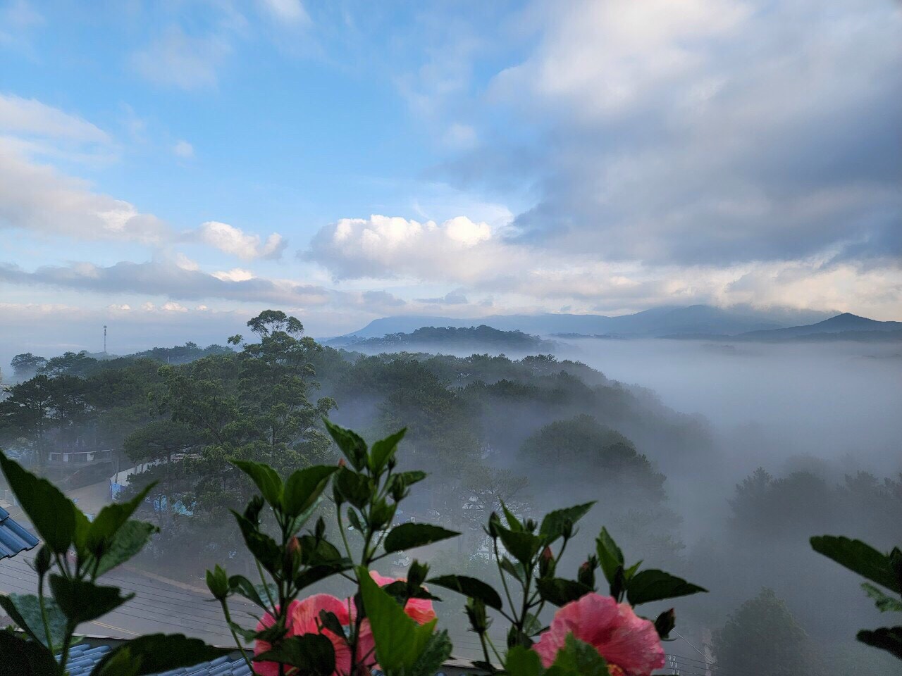dalat