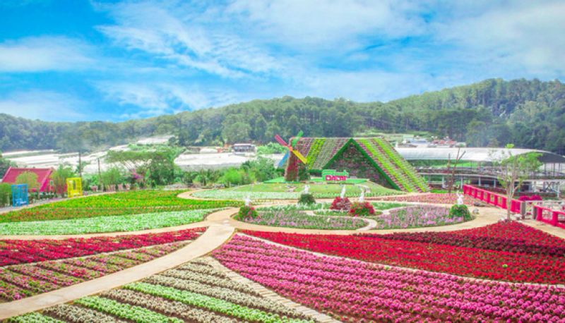 Fresh dalat